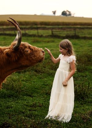 A young girl in a white dress gently reaches out to touch a Highland cow in a green pasture.