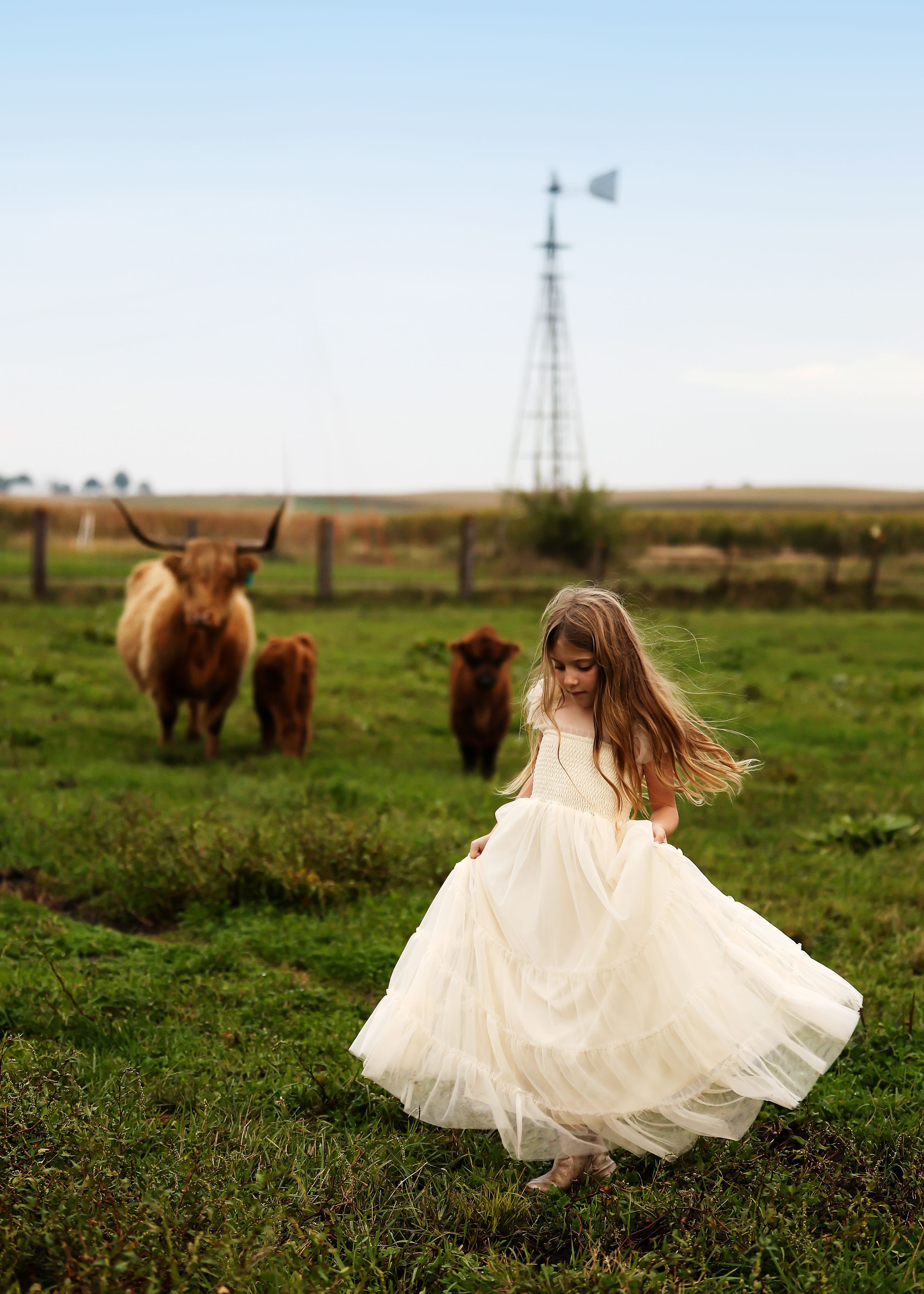 A young girl in a white tulle dress twirls in a green pasture with Highland cattle and a windmill behind her.