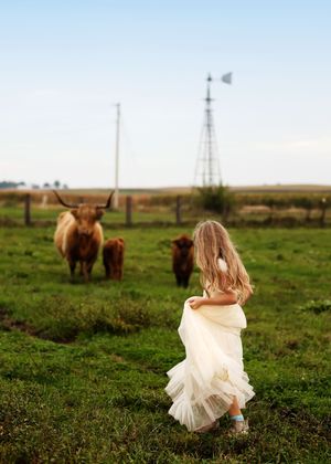 A young girl in a white dress walks toward Highland cattle on a green farm field with a windmill in the background.