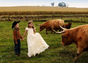Two children in formal attire hold hands near Highland cattle on a green farm field.