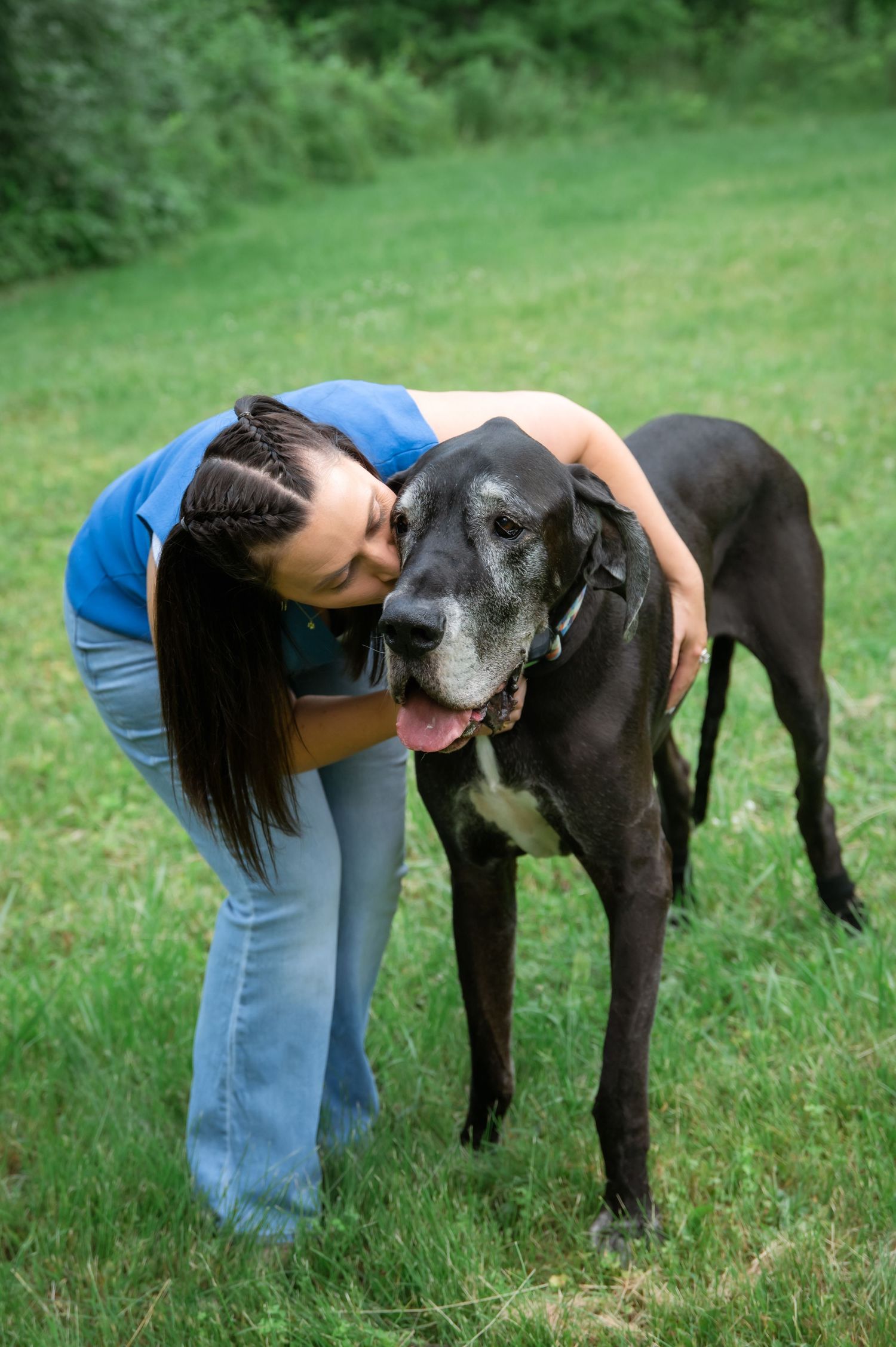 Woman in blue shirt hugging a large black Great Dane dog on green grass outdoors.