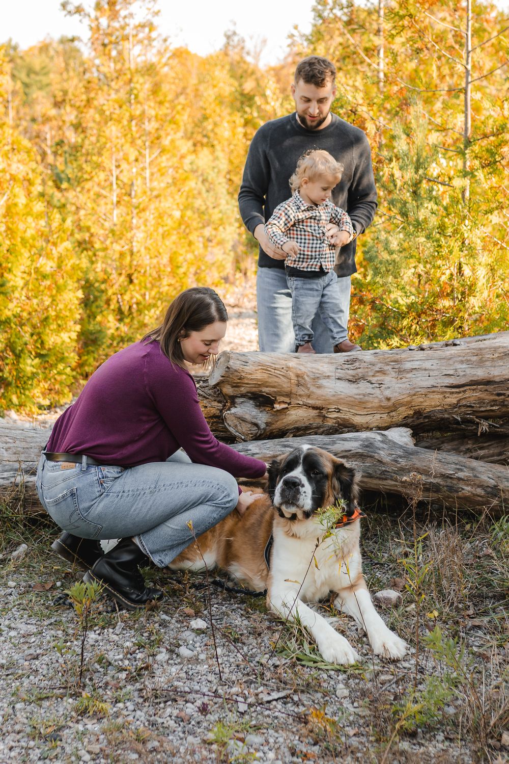 Family with baby and Saint Bernard dog posing outdoors among colorful autumn foliage near a fallen log.