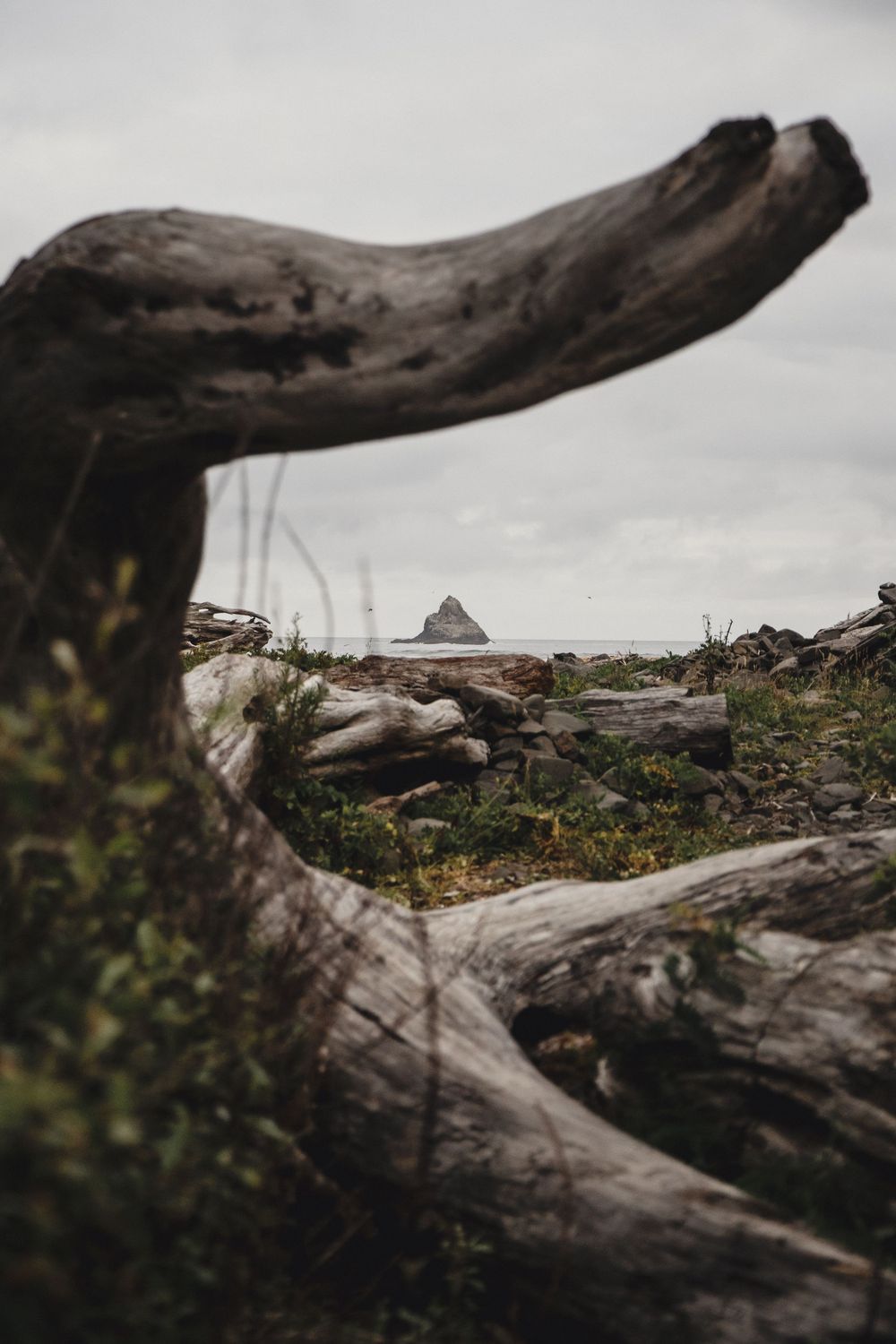 Weathered driftwood on a rocky Pacific coast beach with a sea stack visible in the misty ocean background.