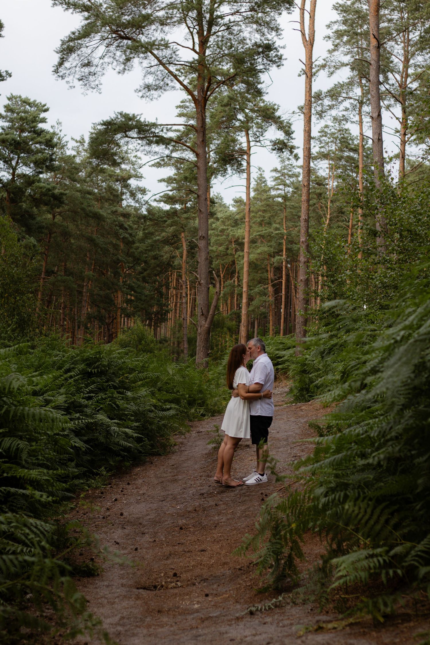 Couple embracing on a forest path surrounded by tall pine trees and lush green ferns in a romantic outdoor setting.