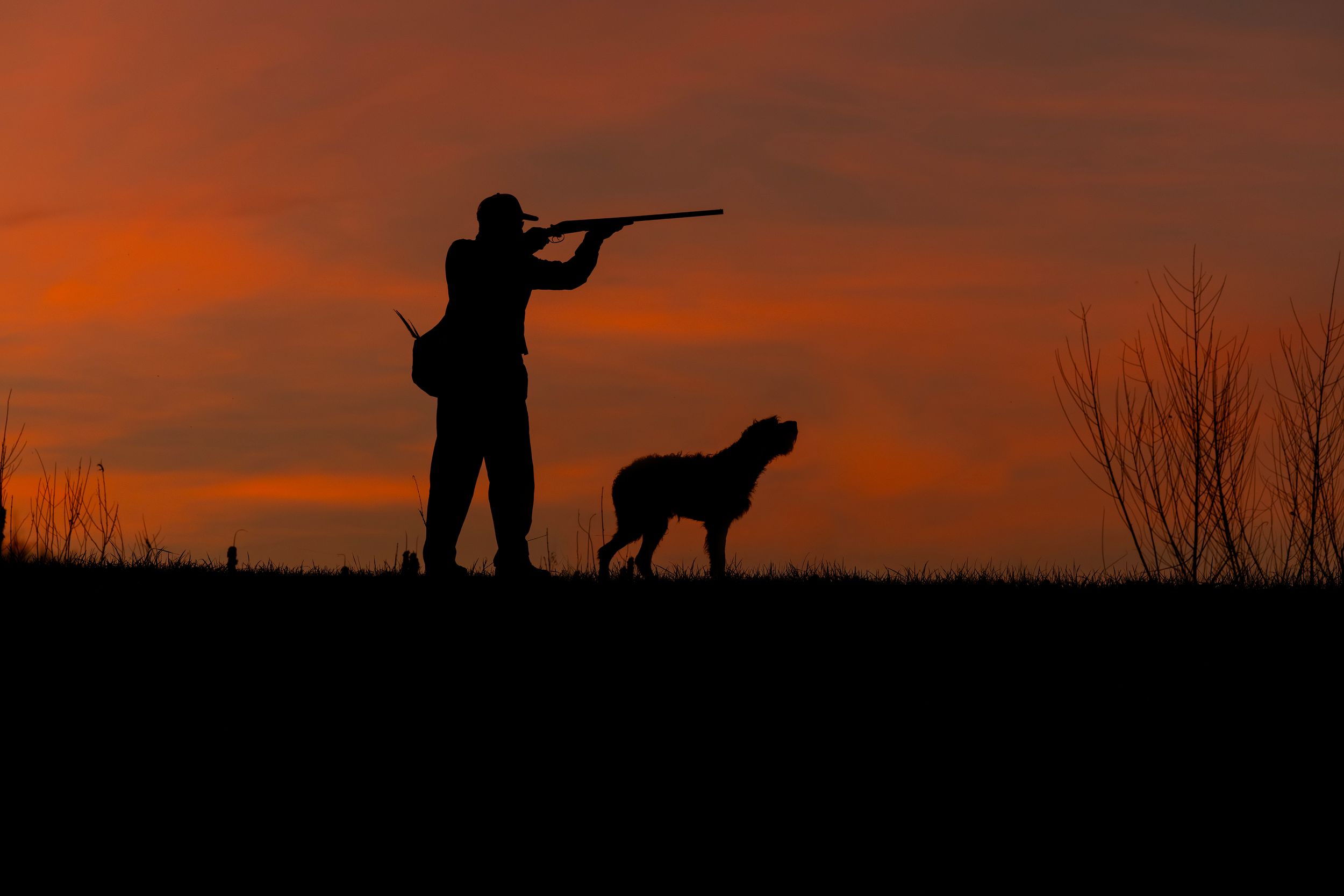 Silhouette of a hunter aiming a rifle with a dog at sunset, orange sky backdrop.
