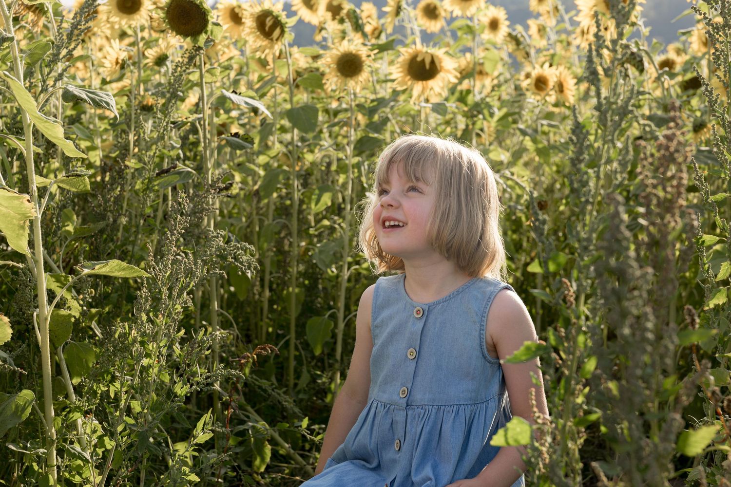 A young girl in a blue dress smiles joyfully while sitting among tall sunflowers in a sunny field.
