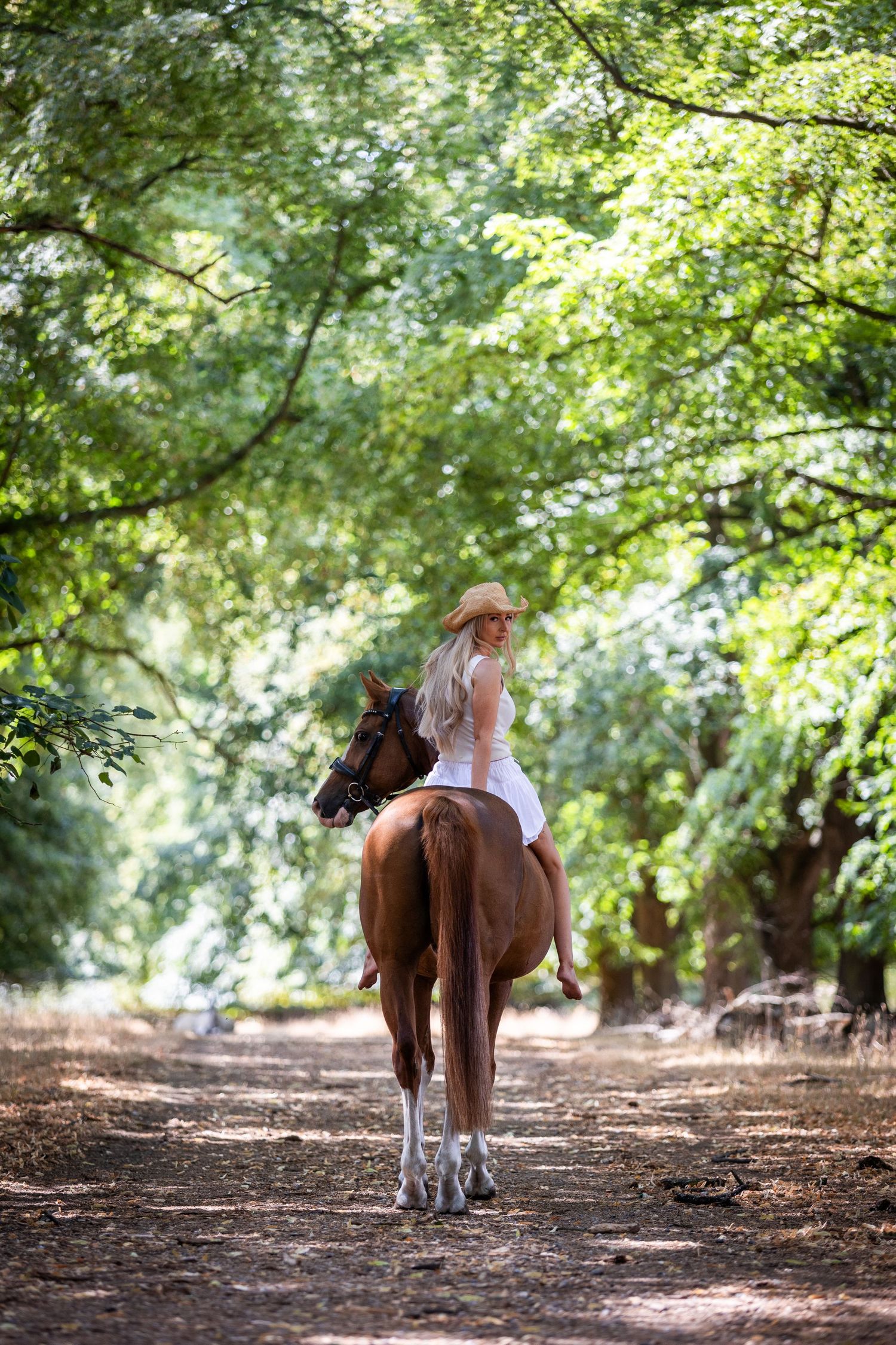 Woman in blue gown poses with gray horse at sunset in a field.