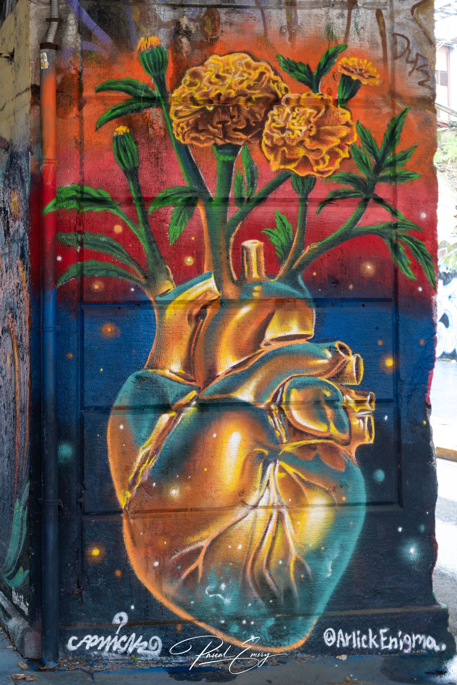 Milano - Italy
