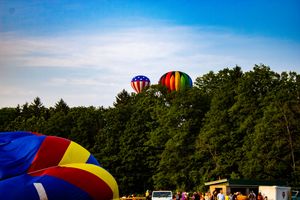 Colorful hot air balloons float above green trees at a summer balloon festival with a bright blue sky backdrop.