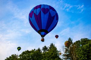 Colorful hot air balloons with heart patterns float above green trees against a bright blue sky.