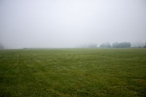 Foggy green meadow with mowed grass and distant trees shrouded in mist on an overcast day.