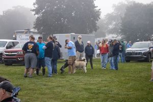 Group of people gathered on a grassy field with vehicles and trees in foggy weather at an outdoor event with a dog.