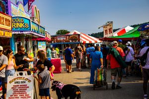 Busy outdoor fair with colorful vendor booths, crowds of people, and a Cold Rinks sign on a sunny day.