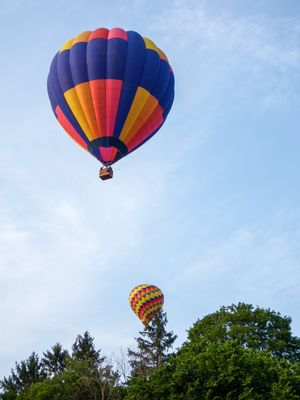 Two colorful hot air balloons soaring above green treetops against a blue sky.