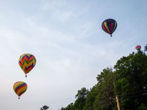 Colorful hot air balloons soaring over green treetops against a partly cloudy blue sky at a balloon festival.