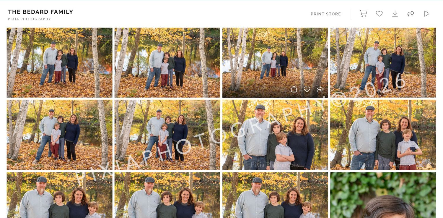 A family poses together outdoors among vibrant autumn foliage in a collage of professional fall portrait photos.