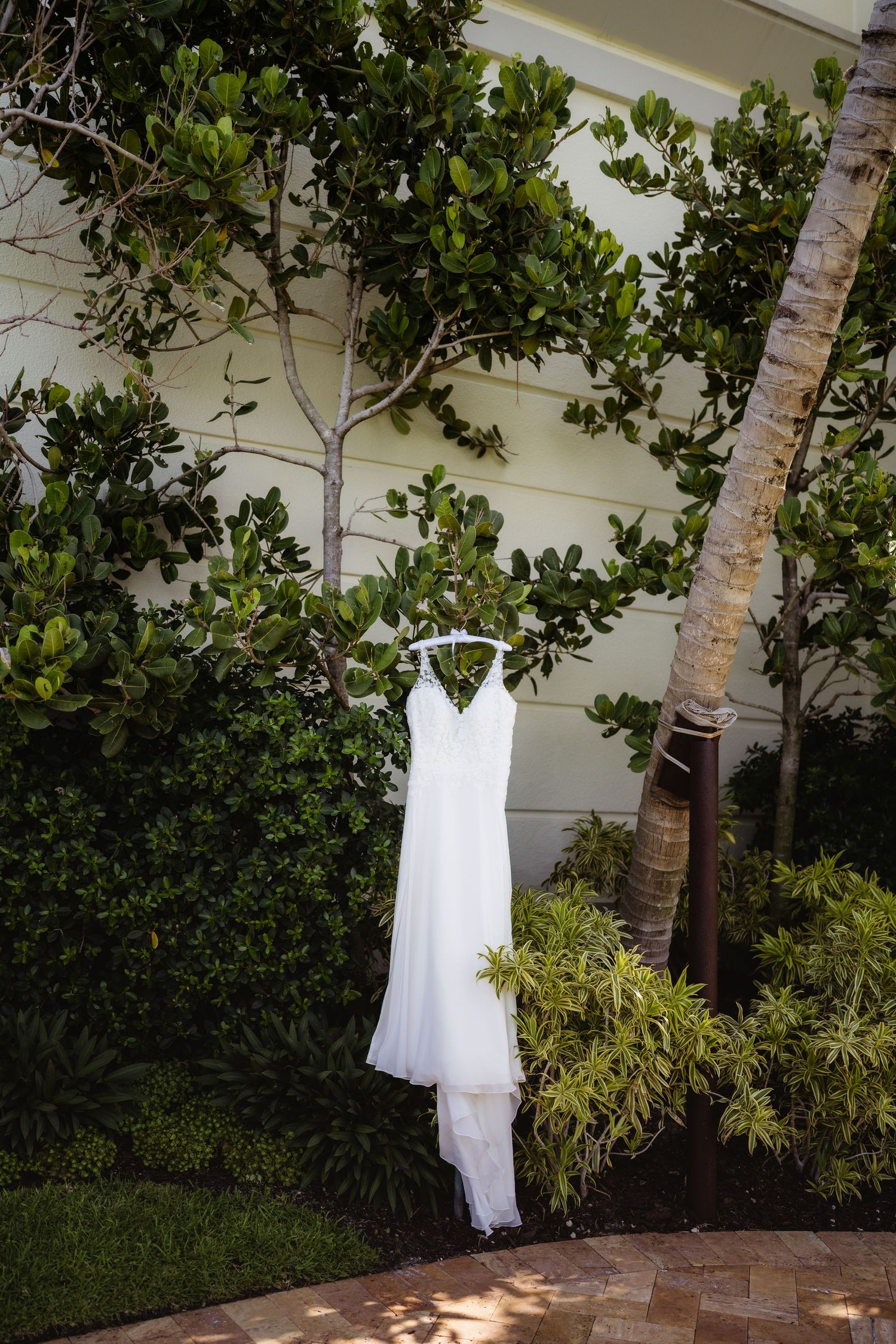 White wedding dress hanging on a tree branch outdoors, surrounded by lush tropical greenery near a palm tree.