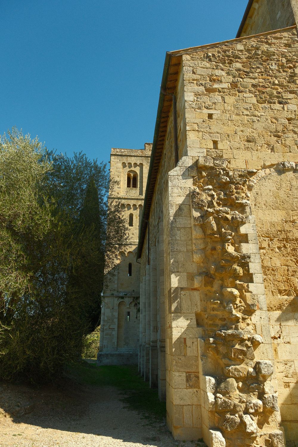 Ancient stone abbey wall with exposed rubble masonry and a medieval bell tower beside olive trees under a clear blue sky.
