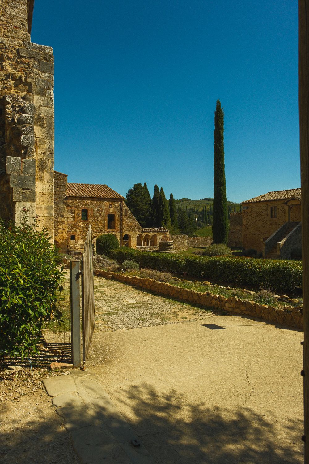 Medieval stone abbey buildings with terracotta roofs, a tall cypress tree and a trimmed hedge beside a gravel path under a clear blue sky.