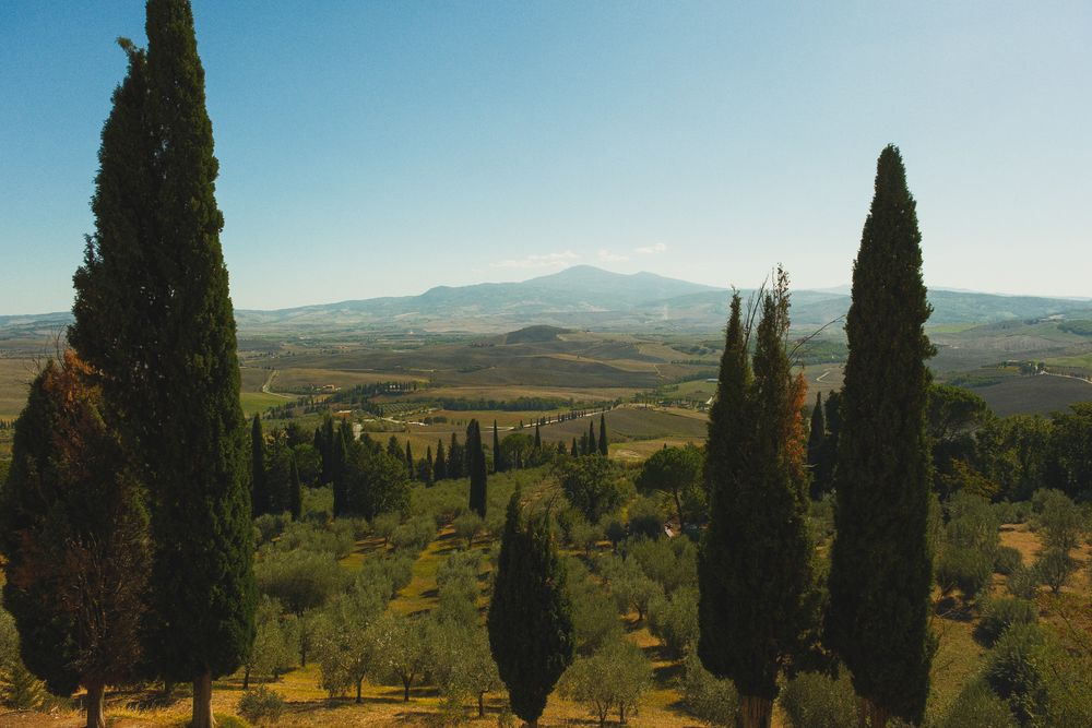 Tall cypress trees frame a sunlit Tuscan valley of olive groves and rolling farmland, with distant hazy mountains under a clear blue sky.
