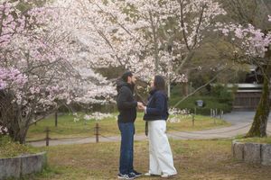 Couple standing together under blooming cherry blossom trees in a Japanese garden during spring.