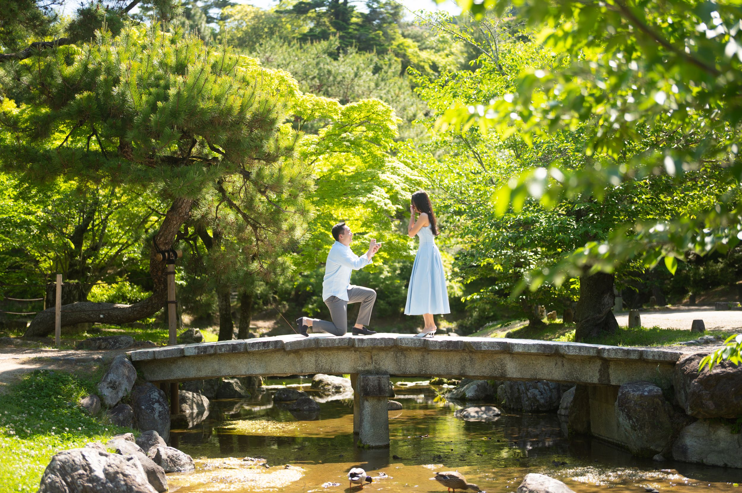 Man proposing to woman on stone bridge in lush Japanese garden with green trees and stream below.