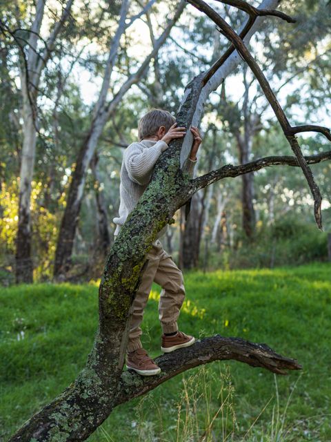 Young boy climbing a lichen-covered tree branch in a lush green forest setting.
