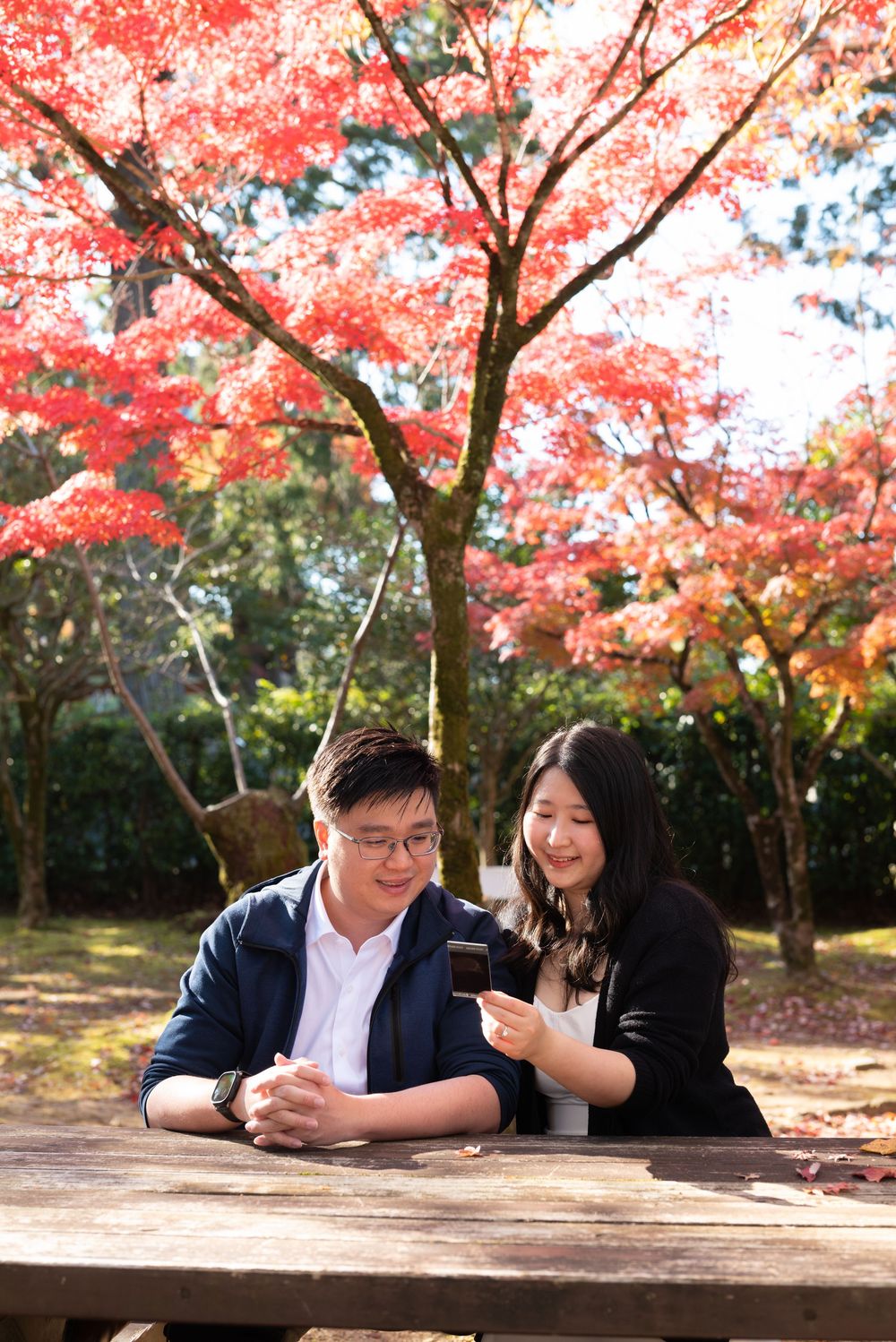 Smiling couple sits at a wooden picnic table looking at a phone beneath vibrant red autumn maple trees in a sunlit park.