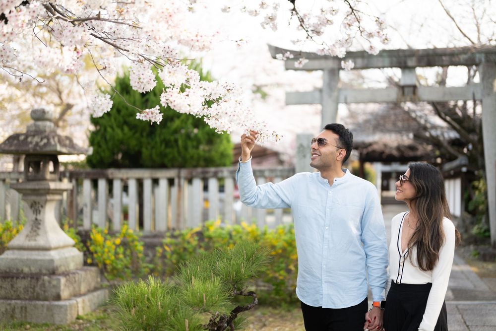Couple in light casual clothing admire blooming cherry blossoms beside a stone lantern and wooden torii gate at a Japanese shrine garden.