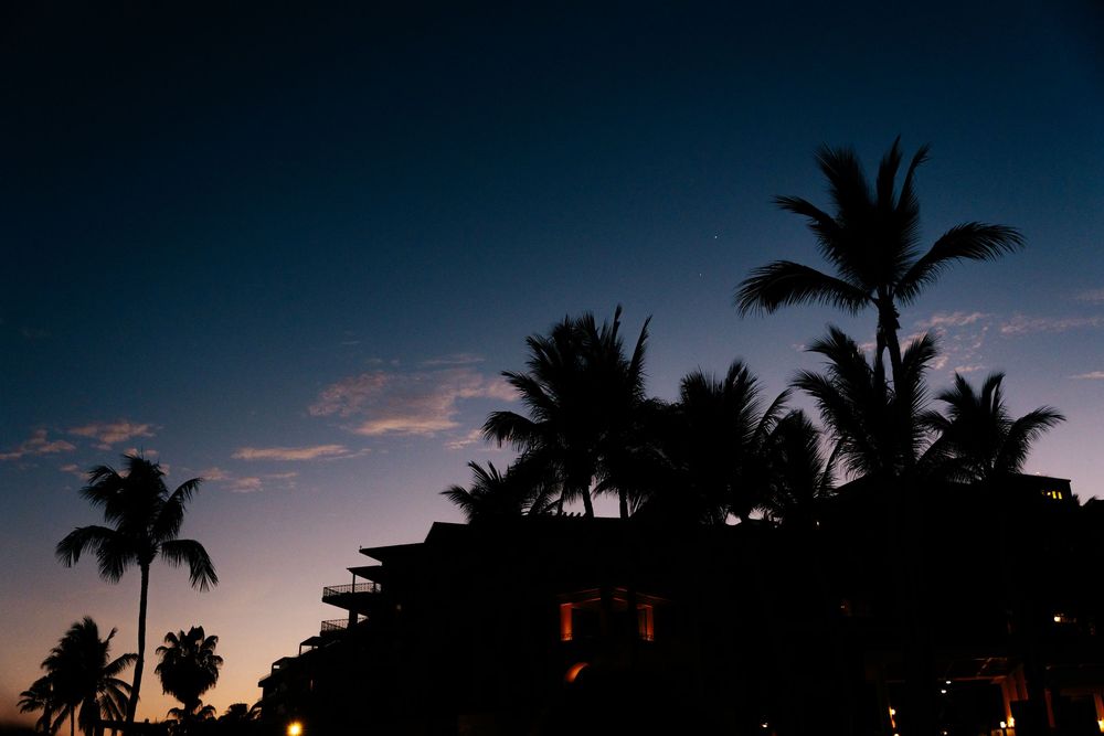 Silhouetted palm trees and a resort building against a deep blue and purple twilight sky at dusk.