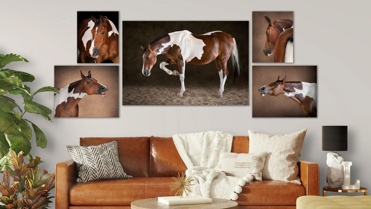 Two horses and a cat posing together against black background, paint horse and palomino with tabby cat between them.