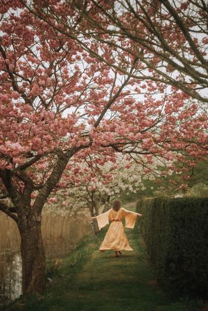 Woman in a flowing yellow dress walks with outstretched arms along a grassy path beneath blooming pink cherry blossom trees.