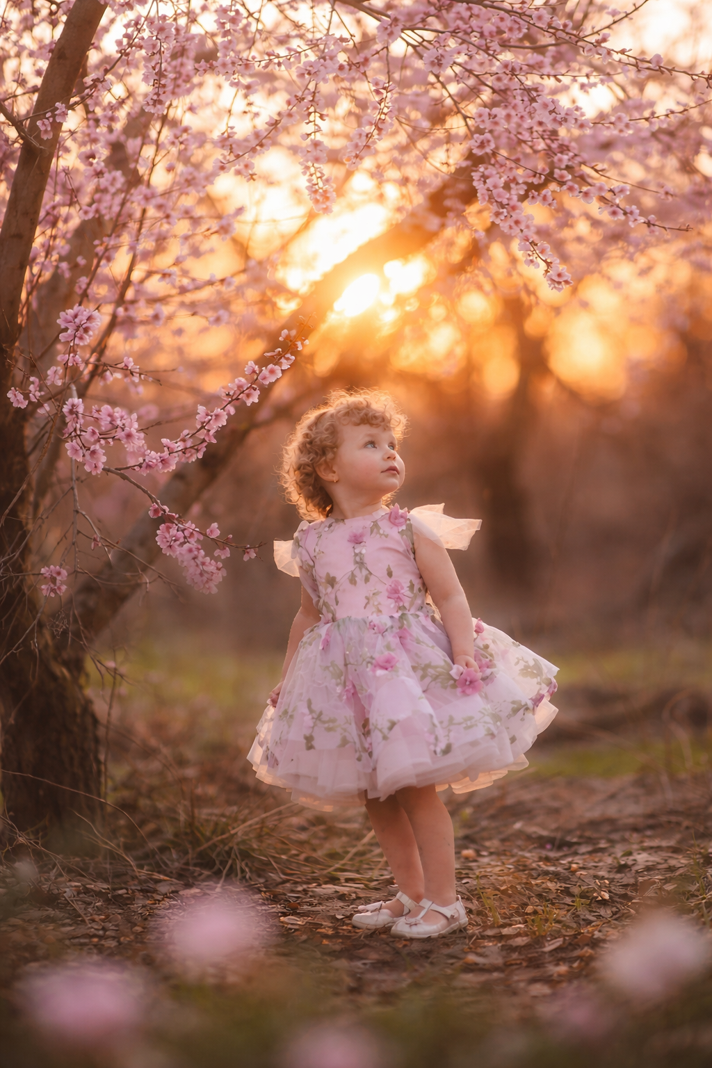 Curly-haired toddler in a floral dress gazes up at pink cherry blossoms as golden sunset light filters through.
