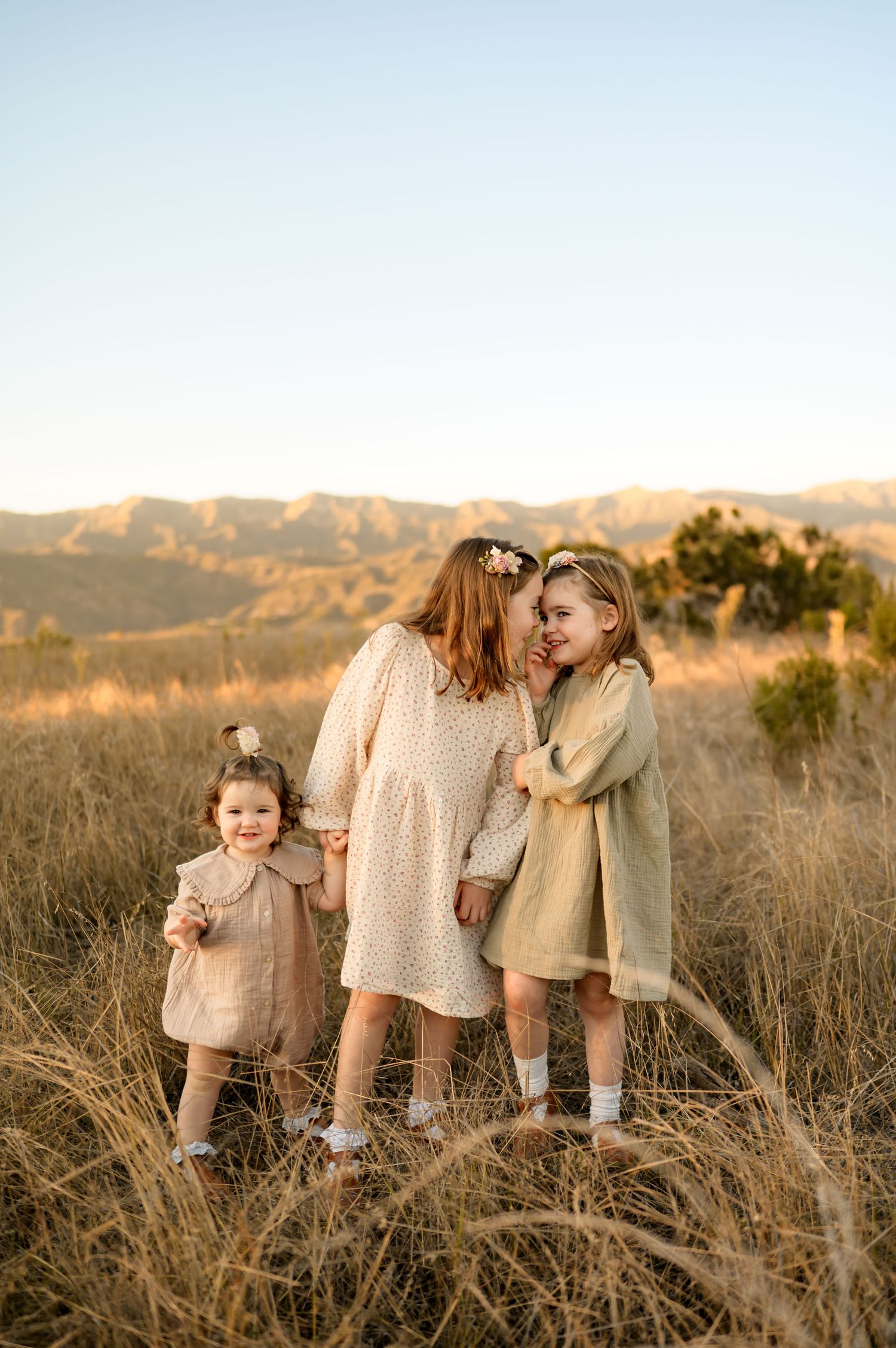 Carpinteria golden field family photoshoot of three little girls cuddled in the grass by best Ventura photographer