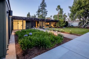 Modern residential landscaping with drought-resistant plants and mulch along a concrete pathway.