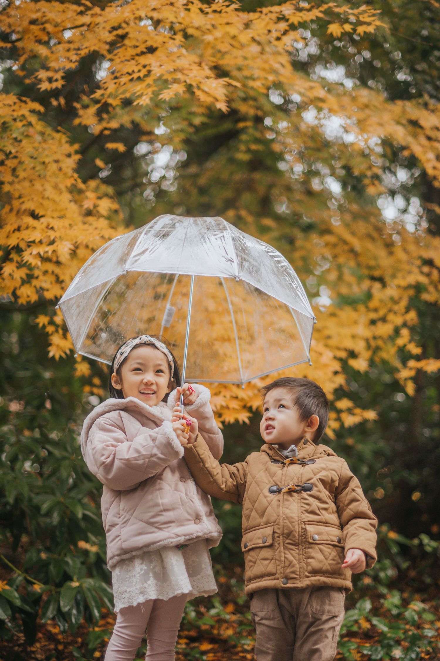 Seattle & Bellevue Newborn & Family Photographer, newborn ,redmond, mercer island, issaquah, sammamish, bothell, eastside,fall
