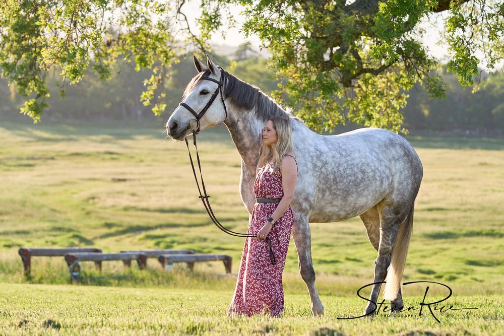 Equestrian and horse at sunset, at the Horse Park at Woodside