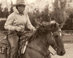 Western rider in Working Equitation competition