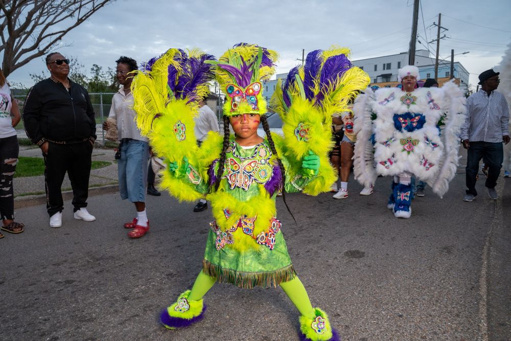 Mardi Gras performer in vibrant yellow and purple feathered costume dances in the street during carnival celebration.
