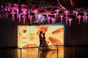 Silhouetted figures dance beneath glowing pink and purple lights at a festive nighttime event.