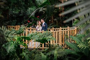 A couple in formal attire embraces on a wooden bridge surrounded by lush tropical plants in a botanical garden setting.