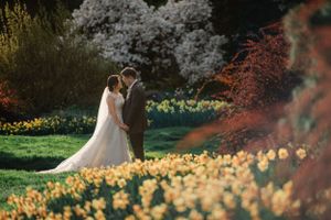 A couple embraces in a garden filled with blooming yellow daffodils and cherry blossoms on a sunny spring day.