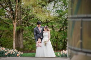Wedding couple with young child in pink dress posing outdoors among spring daffodils and lush green trees.