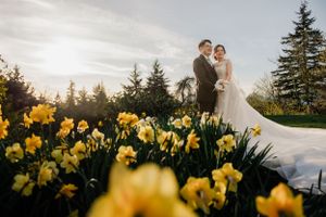 A romantic wedding couple stands in a garden with blooming yellow daffodils during golden hour sunset.