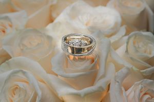 Wedding rings nestled on delicate cream-colored rose petals in soft lighting.