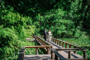 An elevated wooden boardwalk trail winds through lush green forest vegetation on a sunny day.