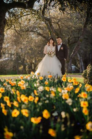 A couple stands in a garden with blooming yellow daffodils and trees in soft sunlight.