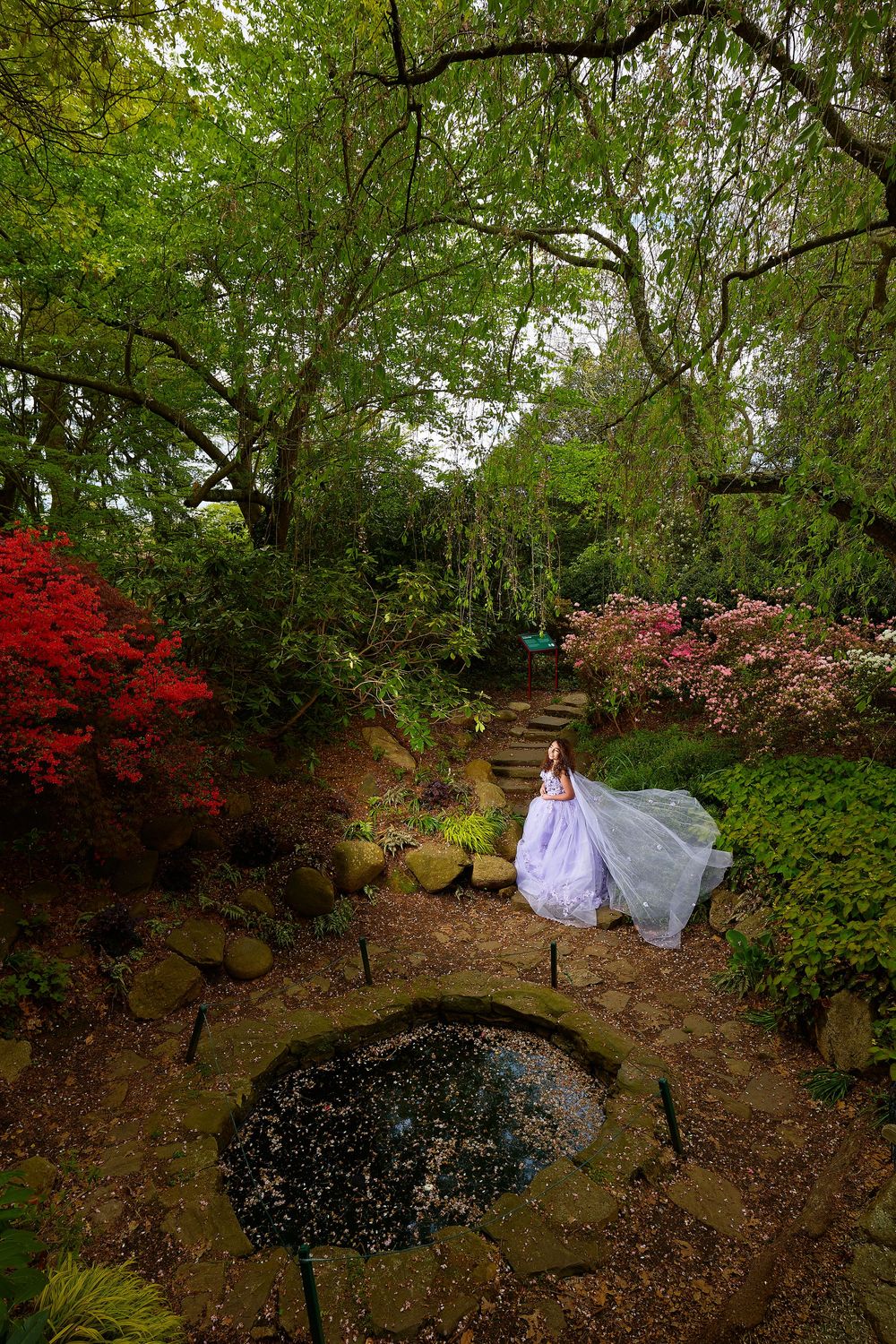 Bride in white gown with flowing veil stands in lush garden with red azaleas and stone pond.