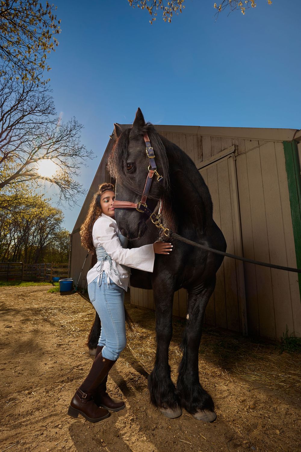 Young woman hugging a black Friesian horse outside a stable on a sunny day.