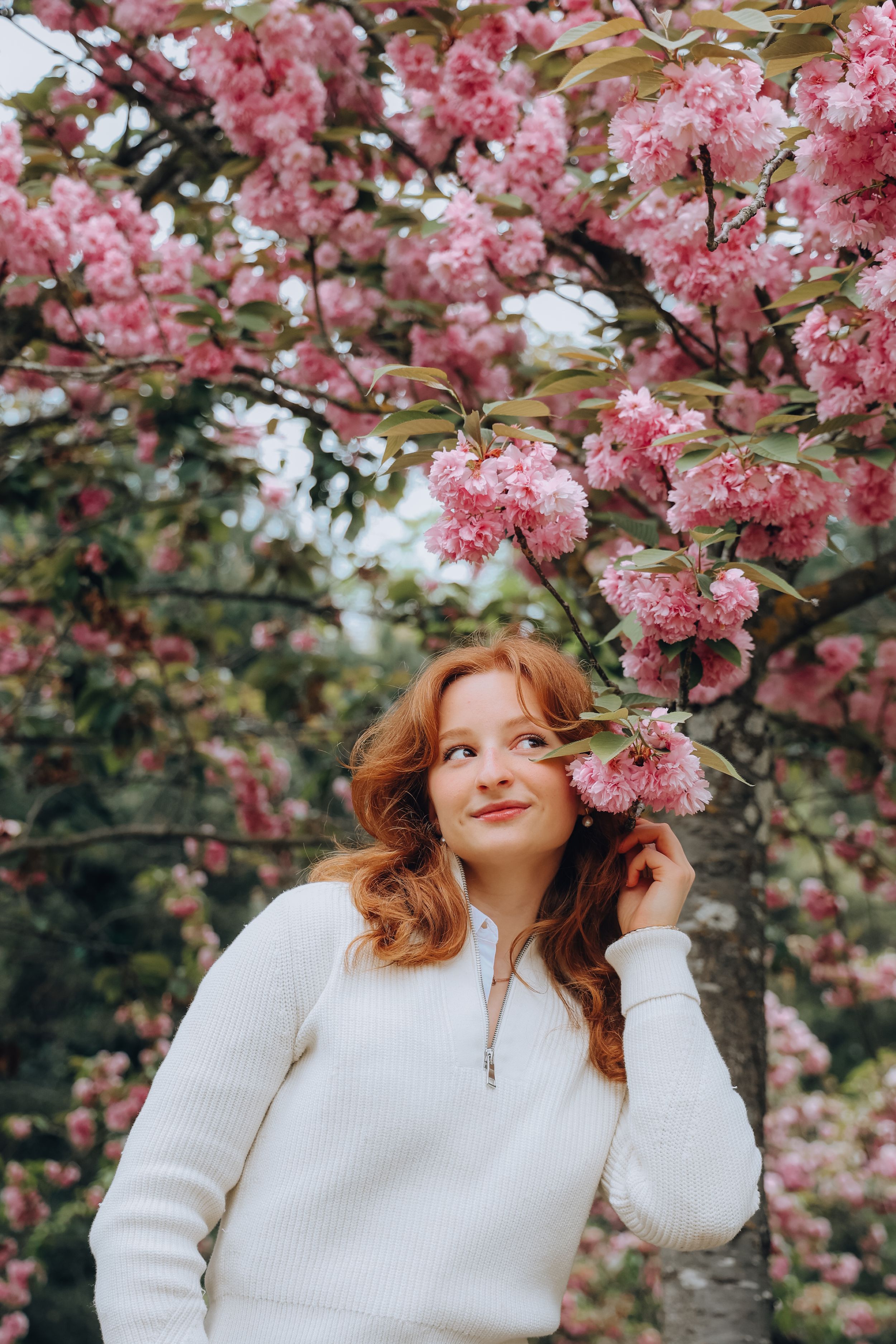 Pretty redhead woman in white zip sweater posing under blooming pink cherry blossom branches.